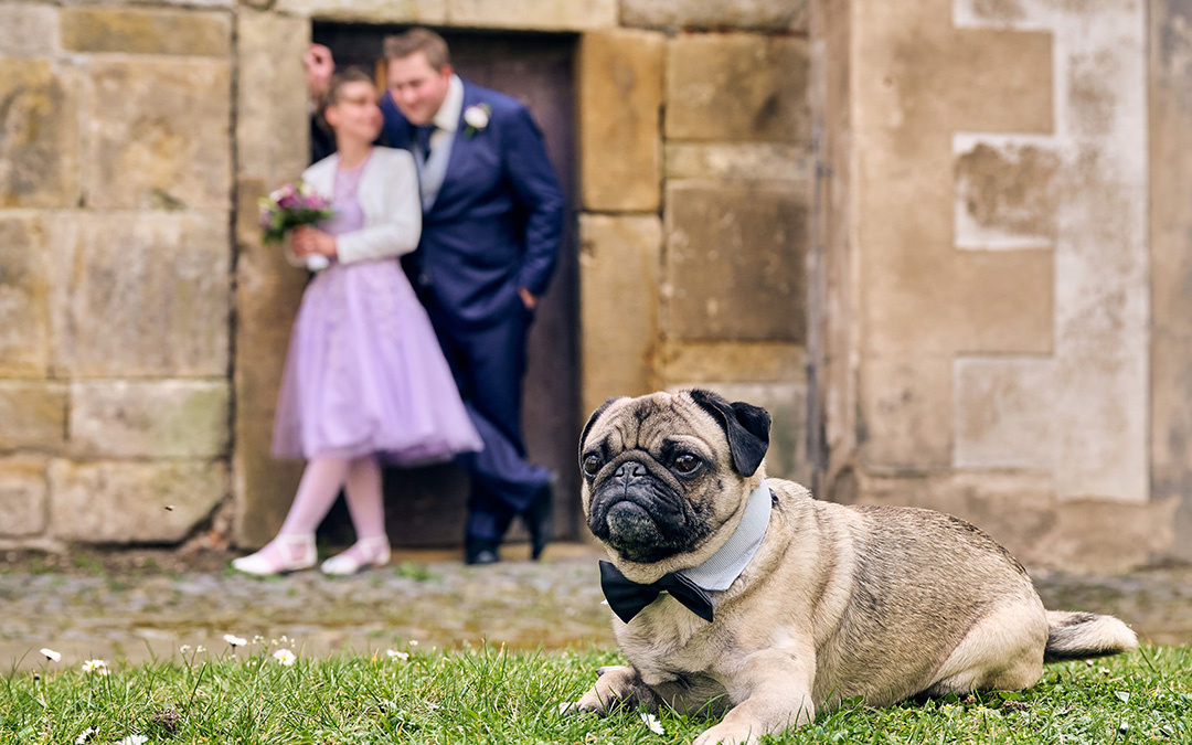 Hochzeiten_AP