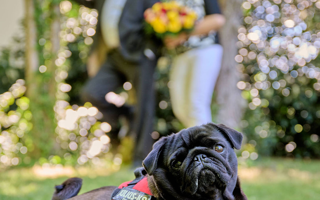 Hochzeiten_AV