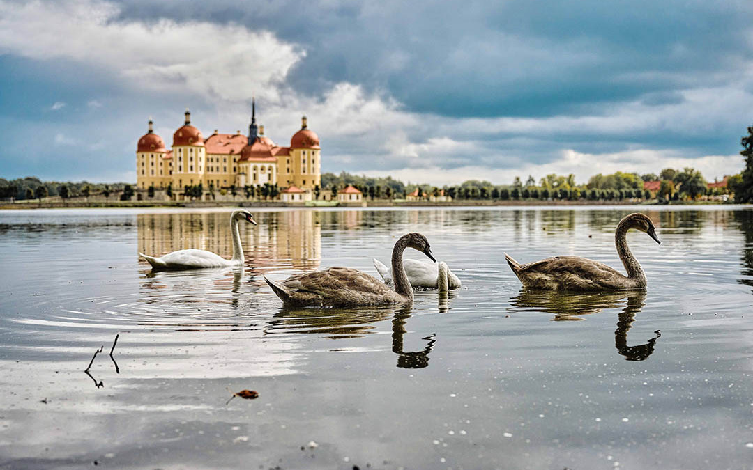 Moritzburg-0922-03-web