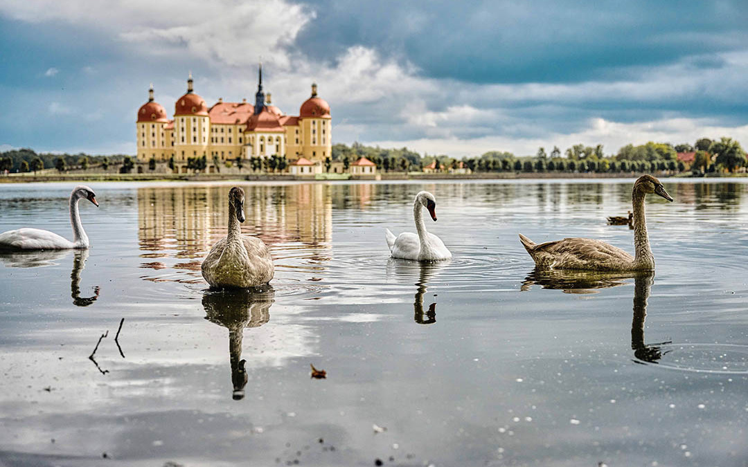 Moritzburg-0922-web