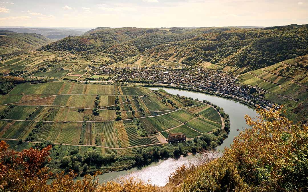 Mosel (27)